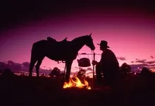 horses 1600x1200 wallpaper Art HD Wallpaper